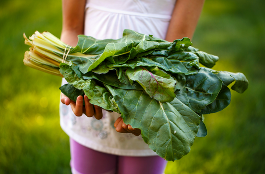 Empower Kids Through Salad Making